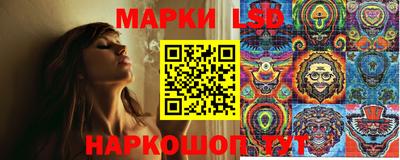 МДПВ Владикавказ