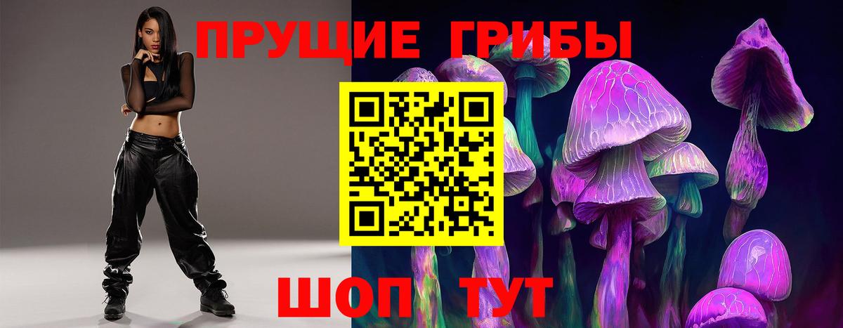 Галлюциногенные грибы Cubensis Тобольск